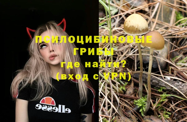 a pvp Краснотурьинск